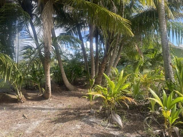 Image 18 of 19 For 4656 Lillian Ave