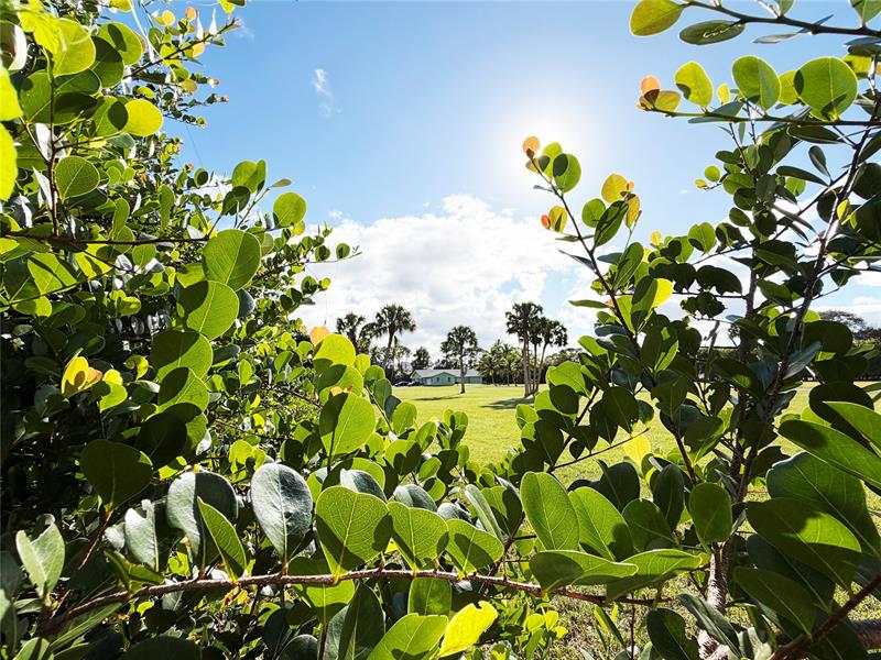 Image 5 of 19 For 4656 Lillian Ave