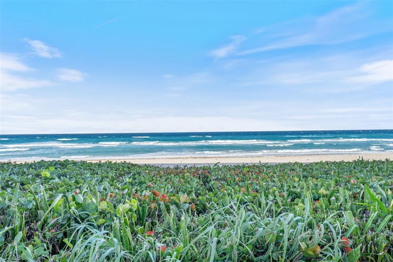 Image 42 of 58 For 3100 Ocean Boulevard  105n