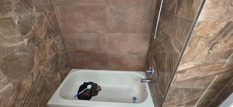 Image 15 of 20 For 11158 Sample Rd  11158