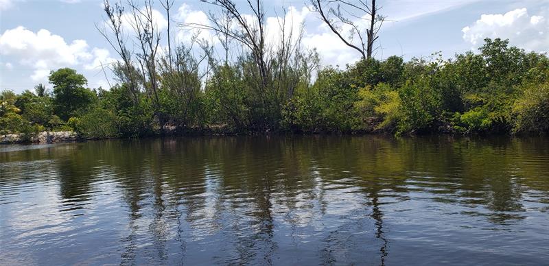 Details for Lot 1 No Name Dr, No Name Key, FL 33043