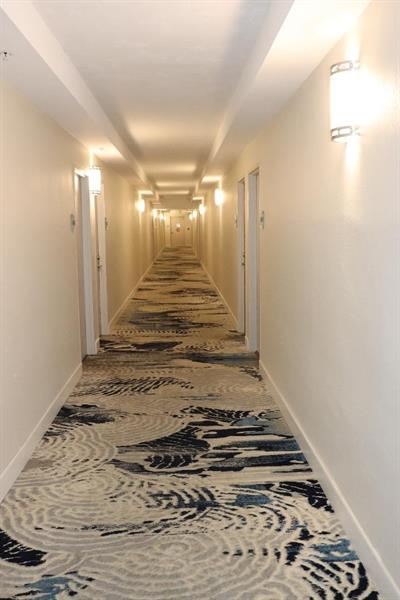 Image 43 of 47 For 3001 Ocean Dr  1011