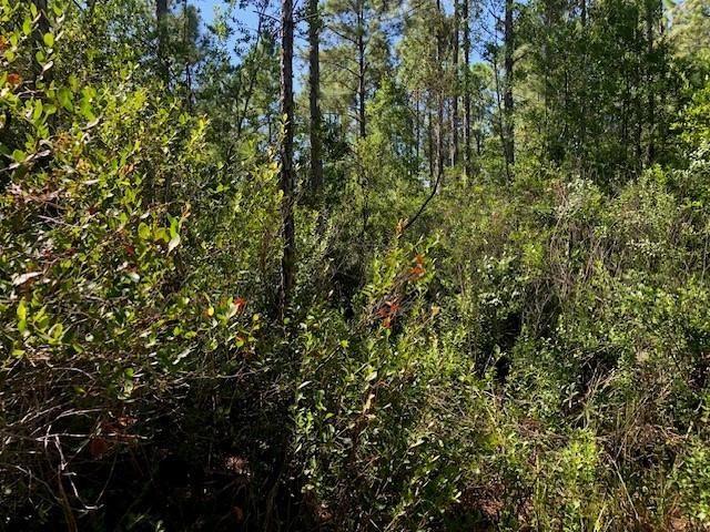 Details for 0 Old Grade Rd, Other City In The State, FL 33868