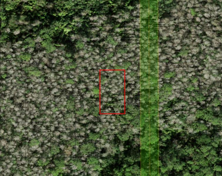 Listing Details for 0 Holopaw Groves Rd, St. Cloud, FL 34772