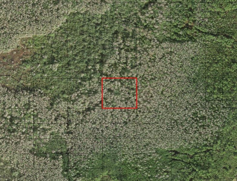 Listing Details for 0 Holopaw Groves Rd, St. Cloud, FL 34772