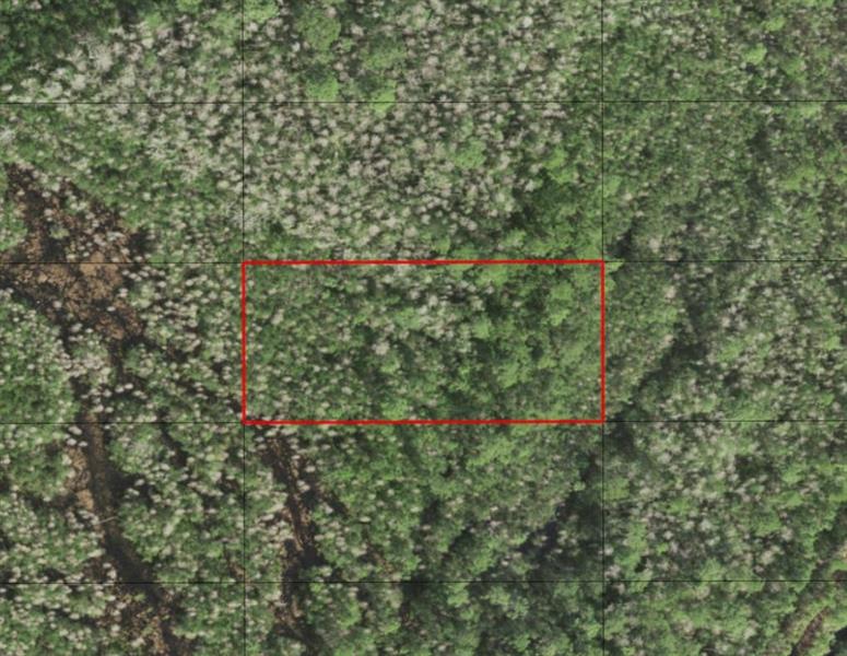 Listing Details for 0 Holopaw Groves Rd, St. Cloud, FL 34772