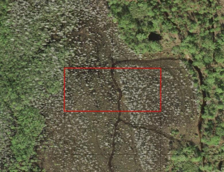 Listing Details for 0 Holopaw Groves Rd, St. Cloud, FL 34772