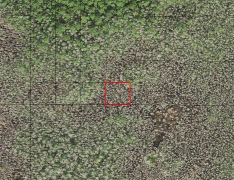 Listing Details for 0 Holopaw Groves Rd, St. Cloud, FL 34772