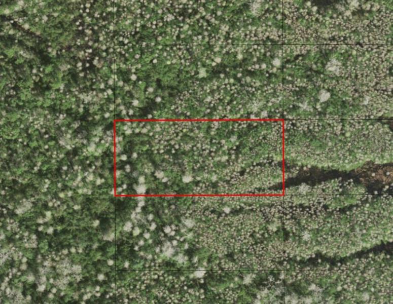 Listing Details for 0 Holopaw Groves Rd, St. Cloud, FL 34772