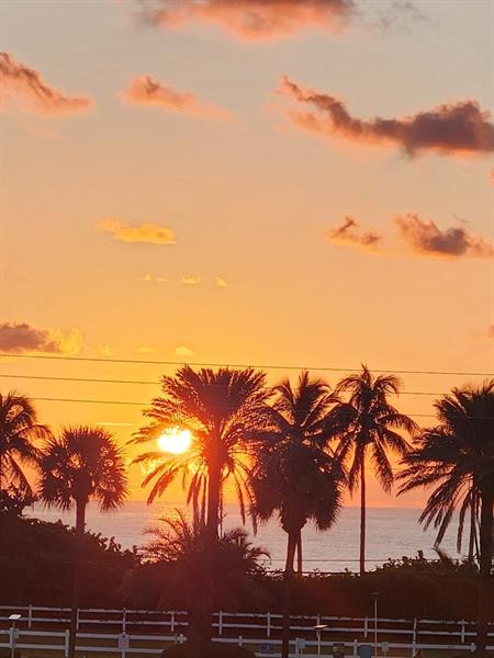 Image 22 of 22 For 4117 Bougainvilla Dr  209