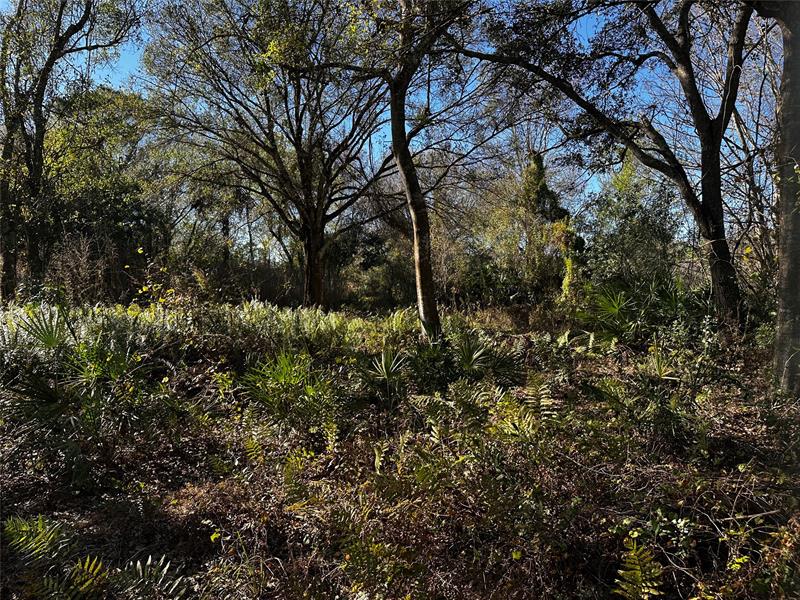 Details for 10305 2nd Ter, Okeechobee, FL 34972