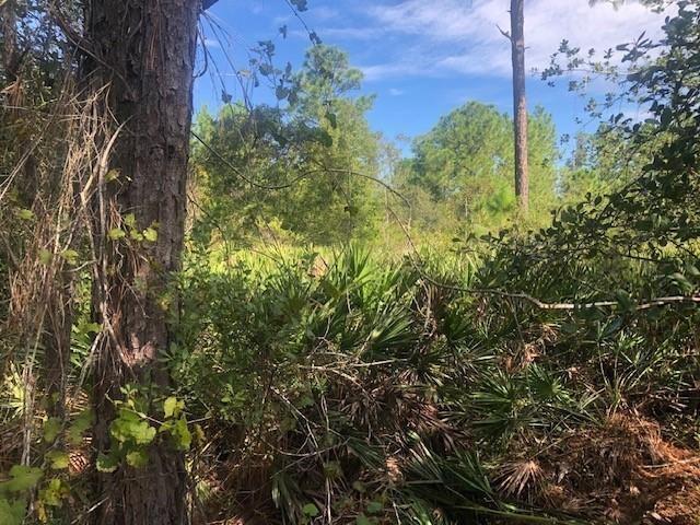 Details for 0 Old Grade Rd, Other City In The State, FL 33868