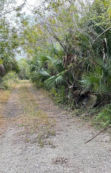 Details for 0 Hidden Oaks Lane, Oak Hill, FL 32759