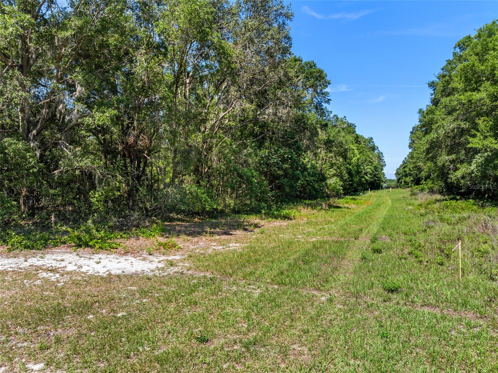 Image 22 of 29 For Lot 1 Hojin Street