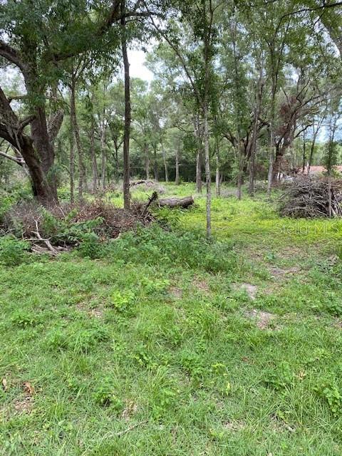 Details for Tbd 111th Lane, DUNNELLON, FL 34432