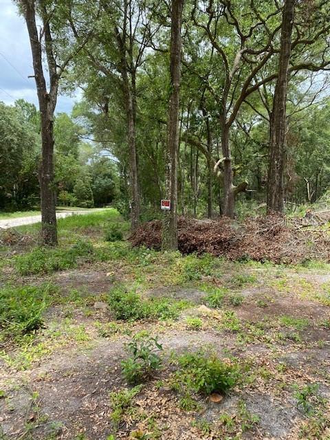 Image 4 of 15 For To Be Determined 111th Ln Lane