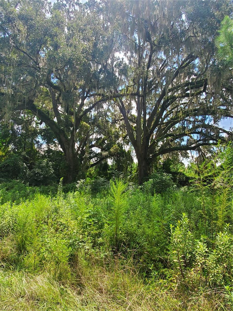 Image 8 of 33 For 0 Cansa Road