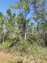 Listing Details for Fork Ranch Drive, CLERMONT, FL 34714