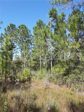 Listing Details for Salyers Road, CLERMONT, FL 34714