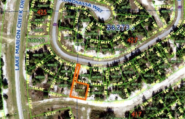Listing Details for 1352 Homosassa Drive, POINCIANA, FL 34759