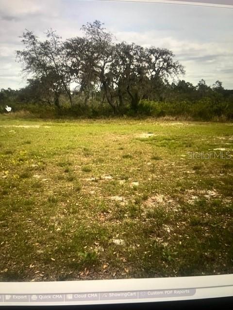 Listing Details for Central Avenue, FROSTPROOF, FL 33843