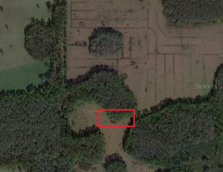 Listing Details for 25-25-06-000000-034110, Polk C, POLK CITY, FL 33868