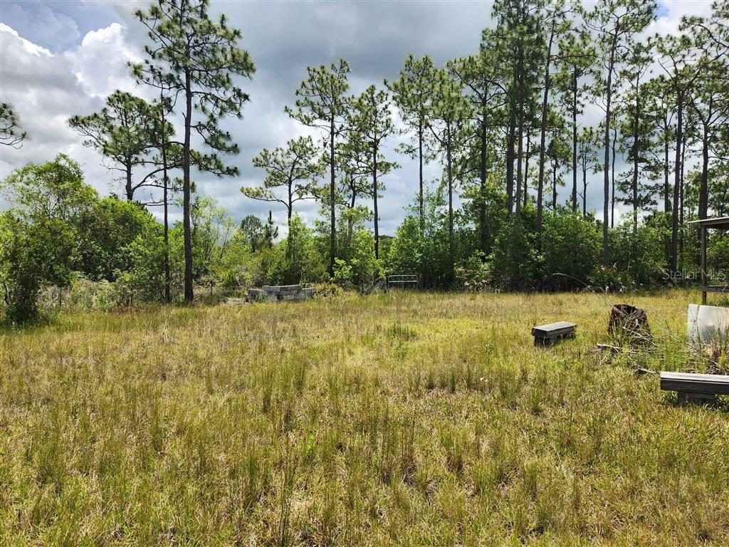 Image 23 of 37 For Holopaw Groves Road