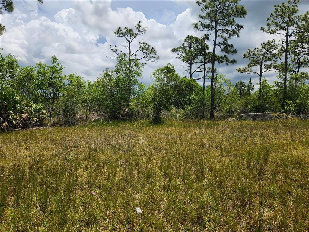 Image 24 of 37 For Holopaw Groves Road