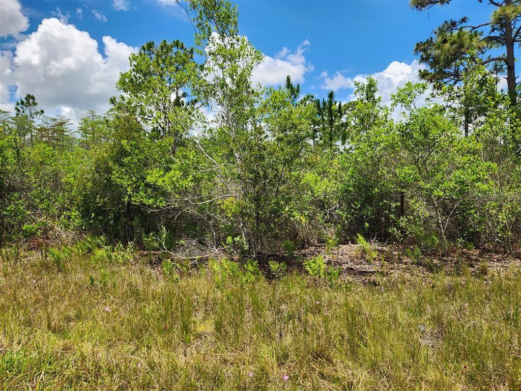 Image 27 of 37 For Holopaw Groves Road