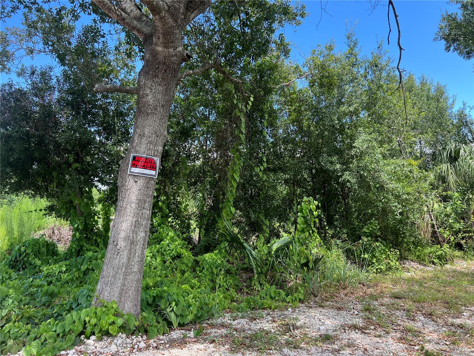 Image 2 of 7 For 527 Orange Brook Lane