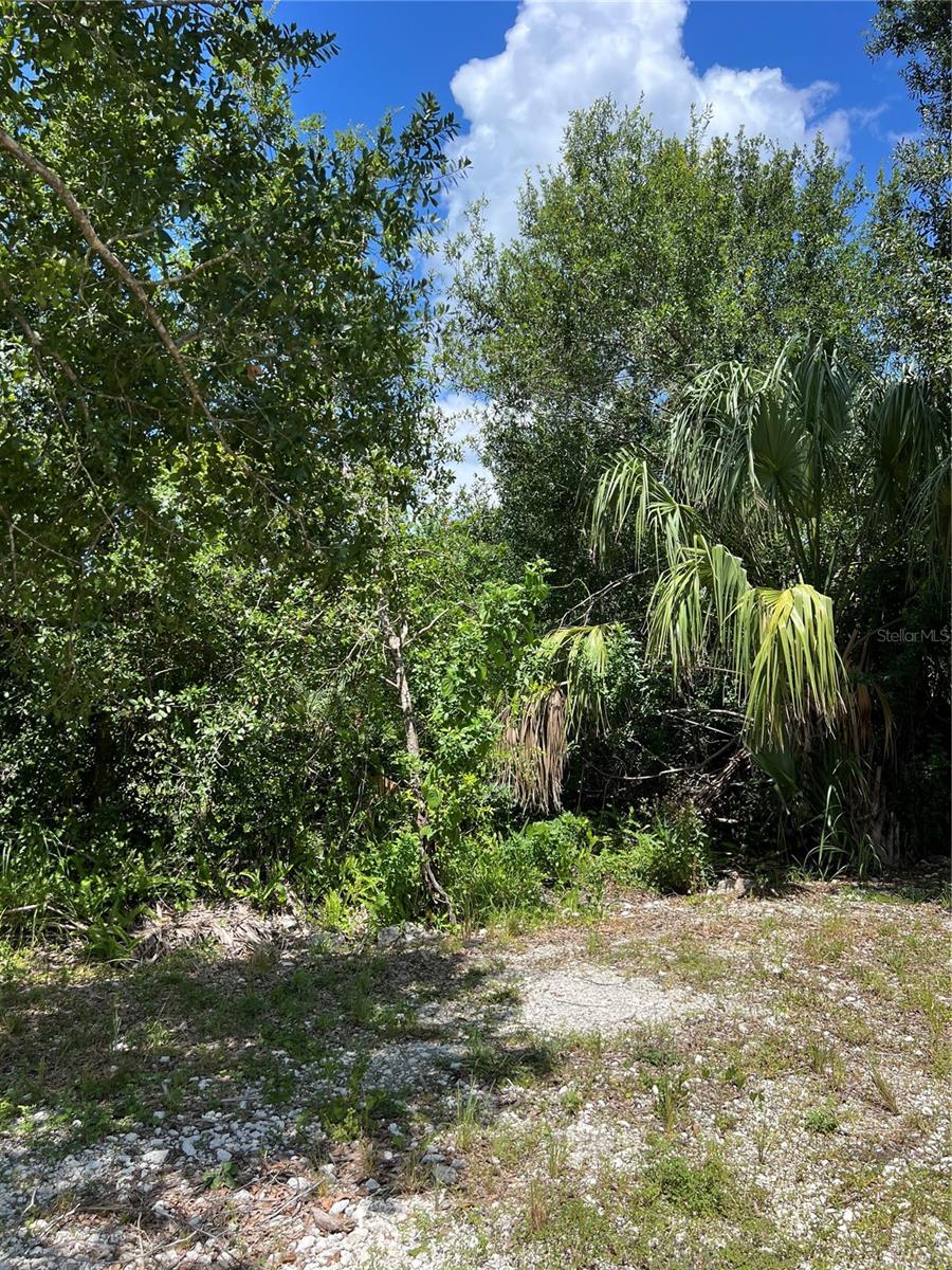 Image 3 of 7 For 527 Orange Brook Lane