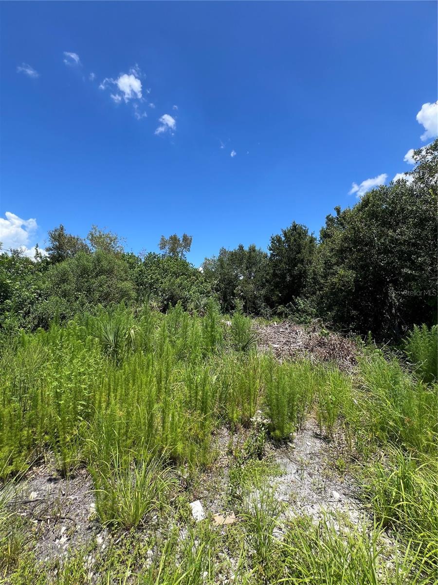 Image 6 of 7 For 527 Orange Brook Lane