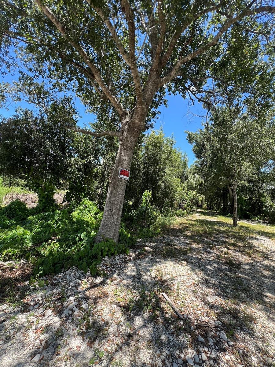 Image 7 of 7 For 527 Orange Brook Lane