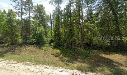 Listing Details for 210 Hideway Lane, GEORGETOWN, FL 32139