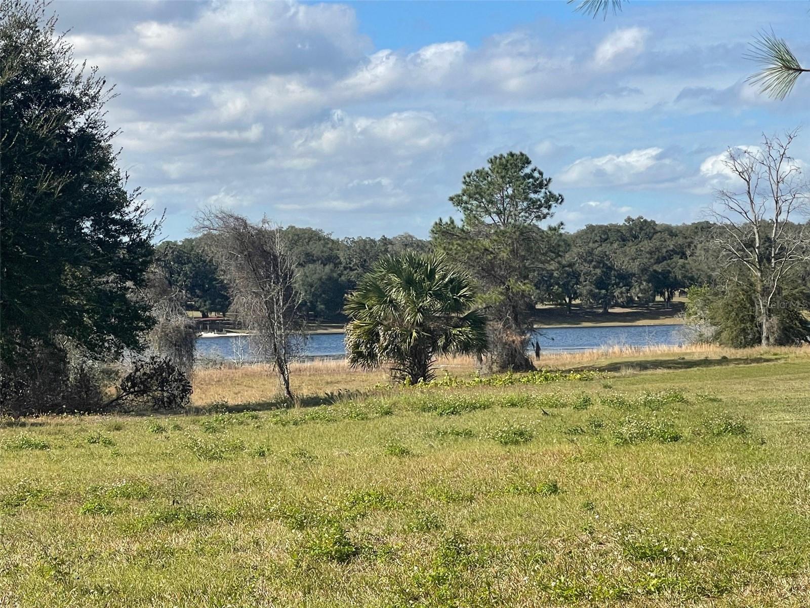 Details for Lot 2 Grays Airport Road, LADY LAKE, FL 32159