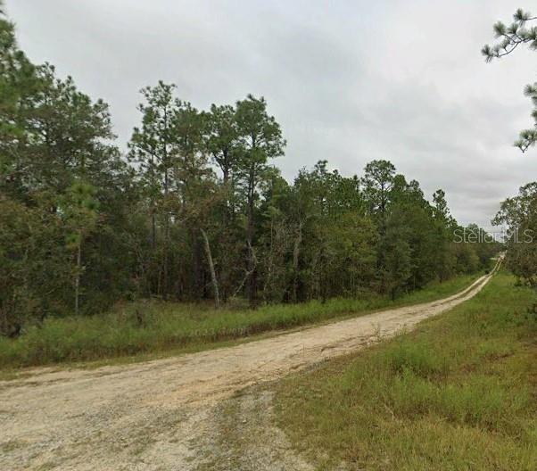 Listing Details for  150th Court , WILLISTON, FL 32696