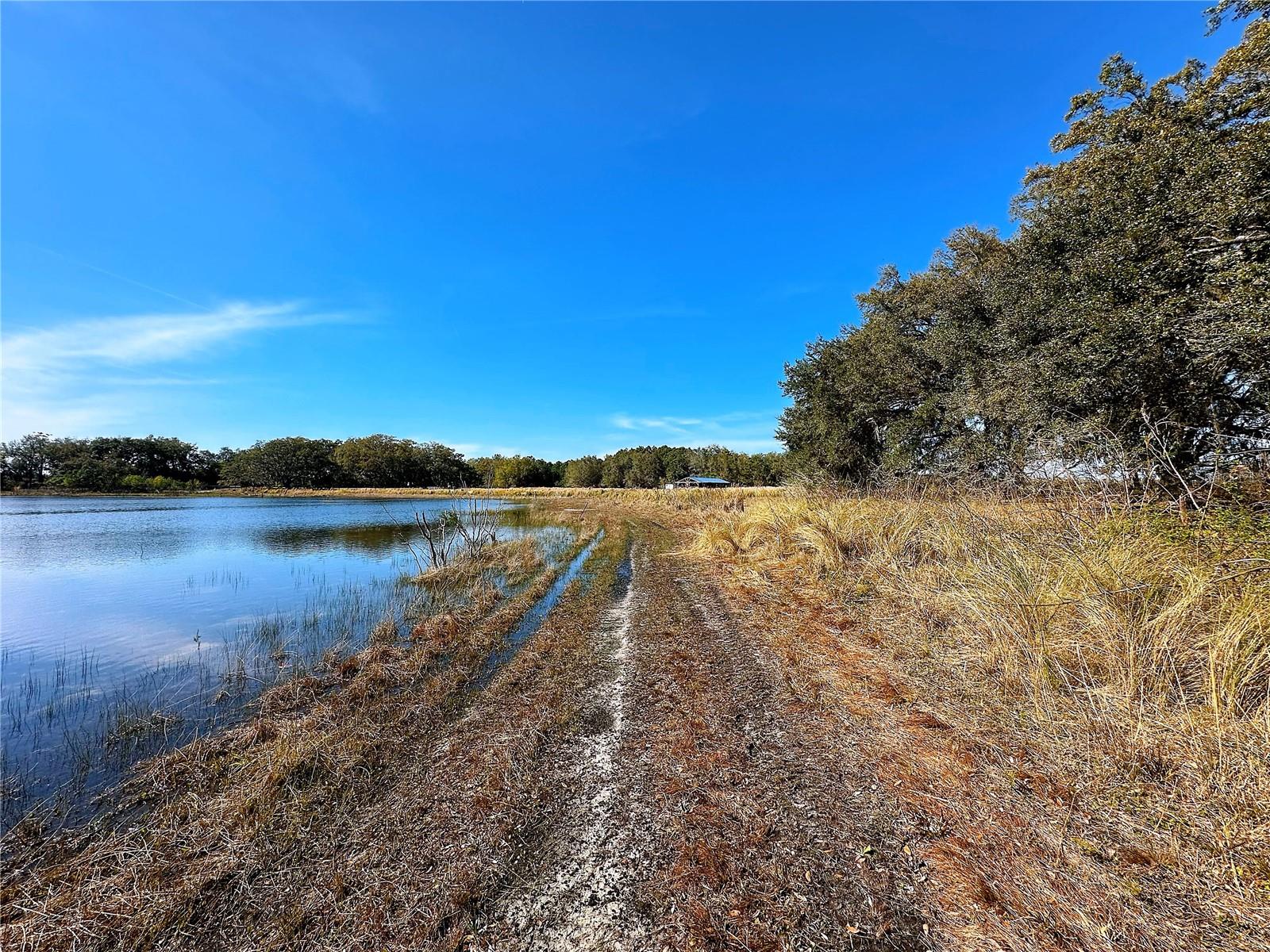 Image 14 of 50 For 8005 Cherry Lake Groves Road