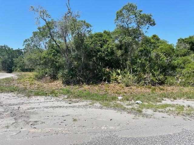 Details for Tbd Fisher  , OCKLAWAHA, FL 32179