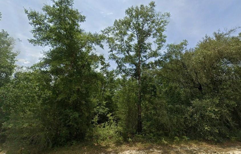 Details for Firetower Road, CHIPLEY, FL 32428