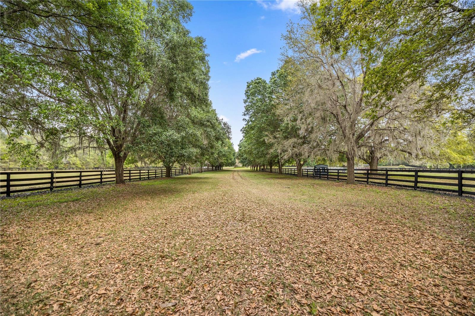 Image 61 of 65 For 14305 Gainesville Road