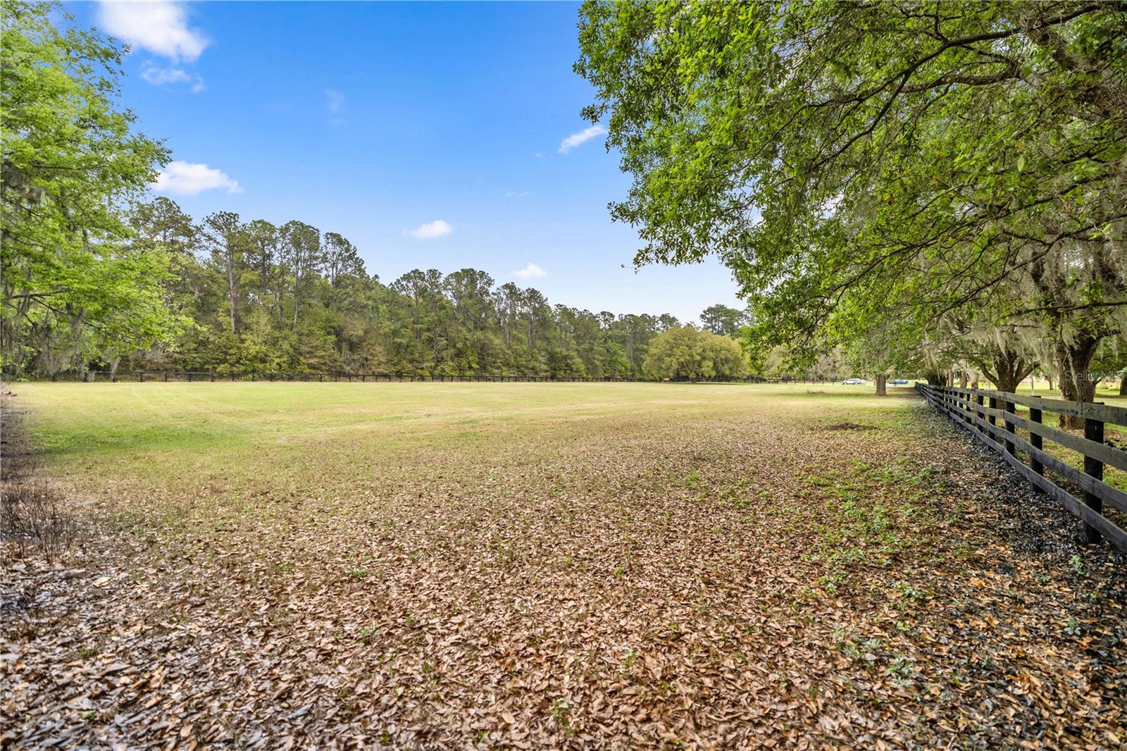 Image 62 of 65 For 14305 Gainesville Road