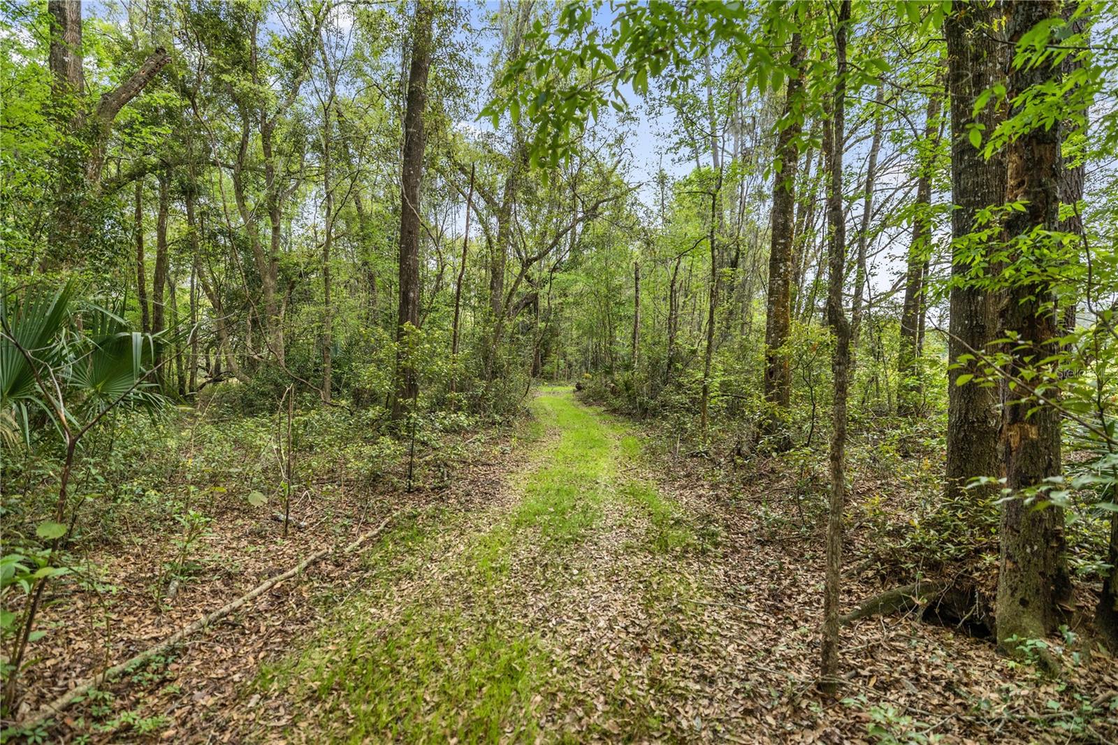 Image 64 of 65 For 14305 Gainesville Road