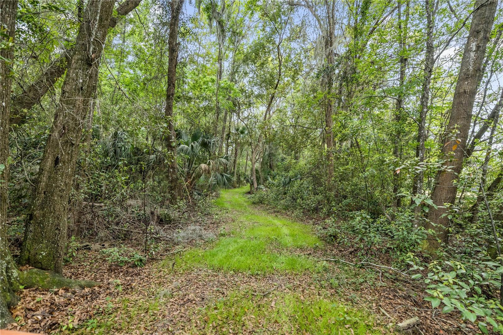 Image 65 of 65 For 14305 Gainesville Road