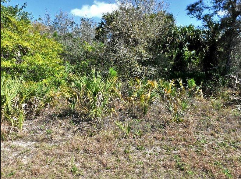 Image 2 of 7 For Norton Drive