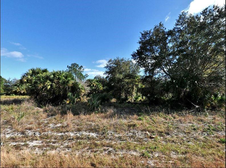 Image 2 of 4 For Penny Circle