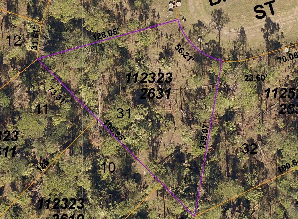 Image 2 of 5 For Brolly Street