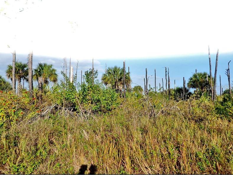 Image 2 of 4 For Devonia Circle