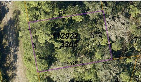 Image 3 of 5 For Havemeyer Street