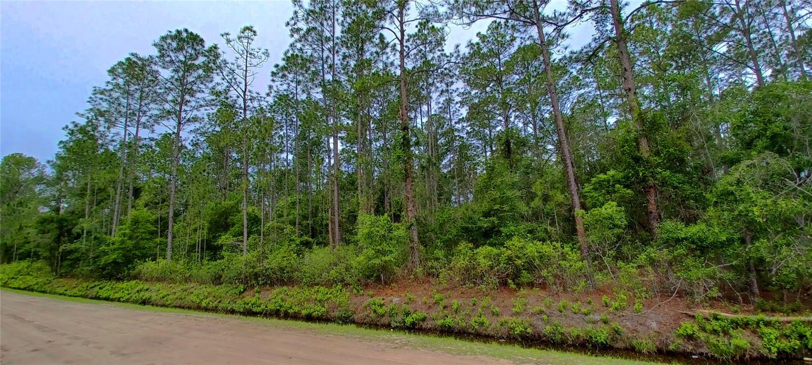 Details for 10695 Erickson Avenue, HASTINGS, FL 32145