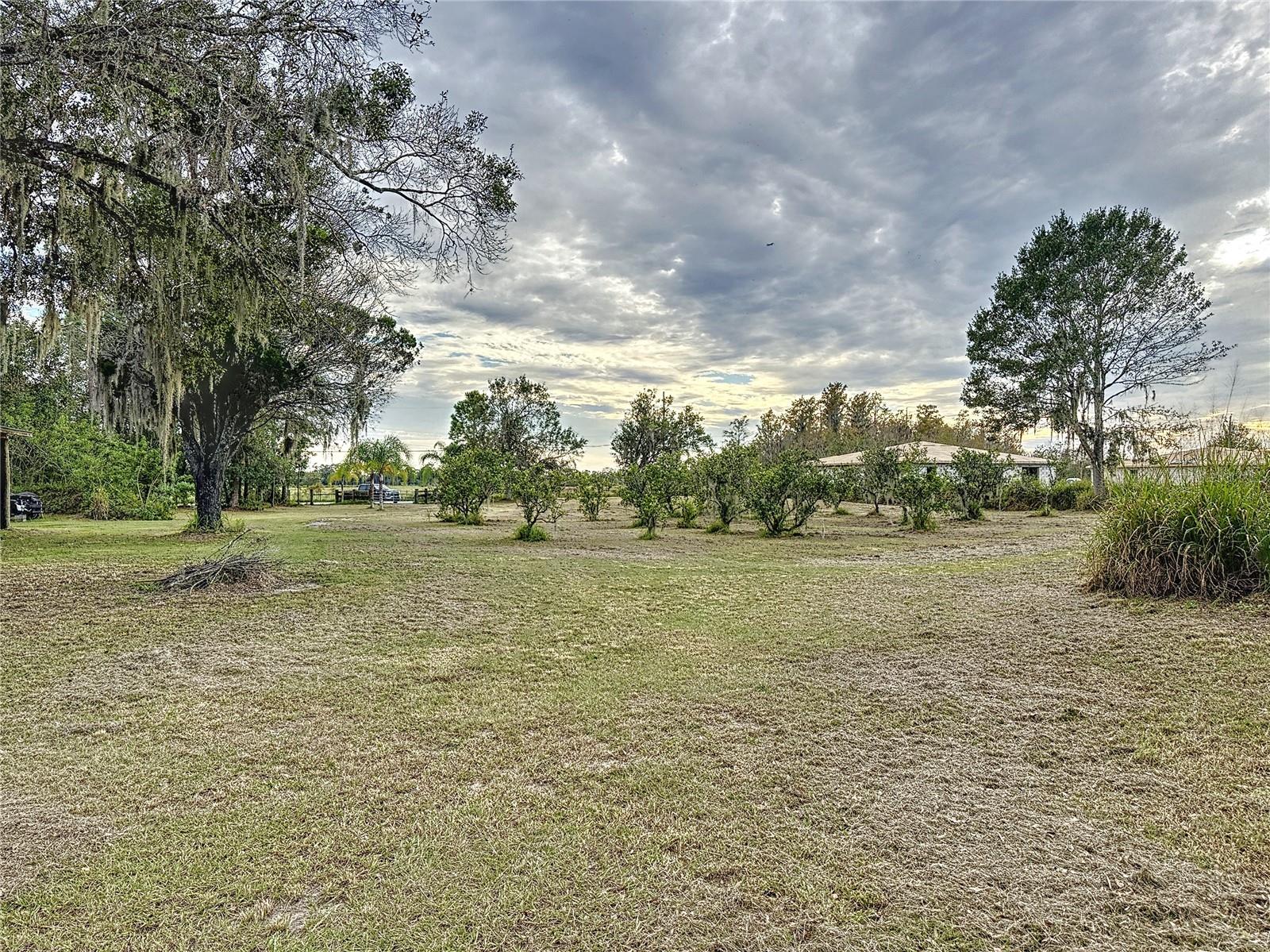 Image 8 of 26 For  19th Street 